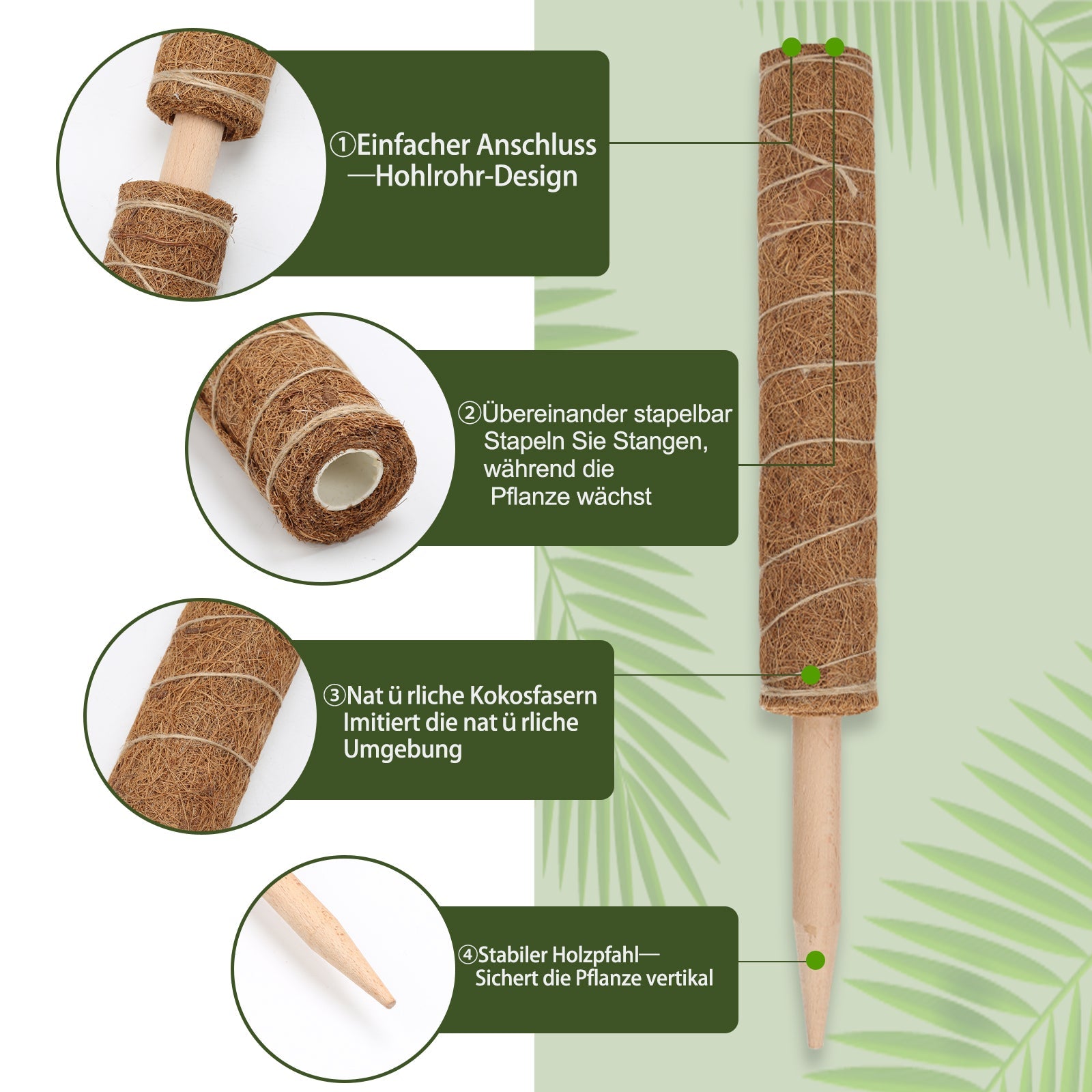 Cosmo Go Pflanzstab Kokos Monstera 2 Stück