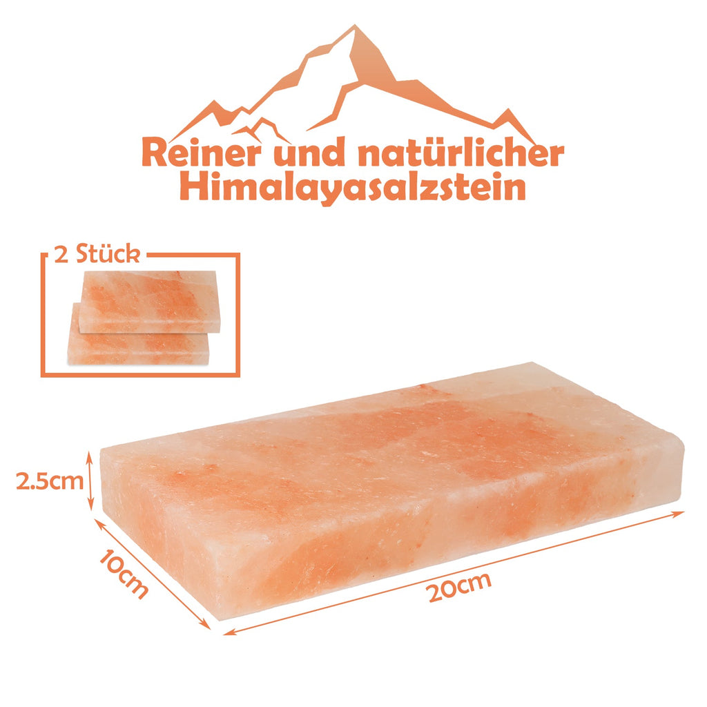 Cosmo Go Grill Salzstein BBQ 20x10x2.5CM 2er Set