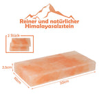 Cosmo Go Grill Salzstein BBQ 20x10x2.5CM 2er Set