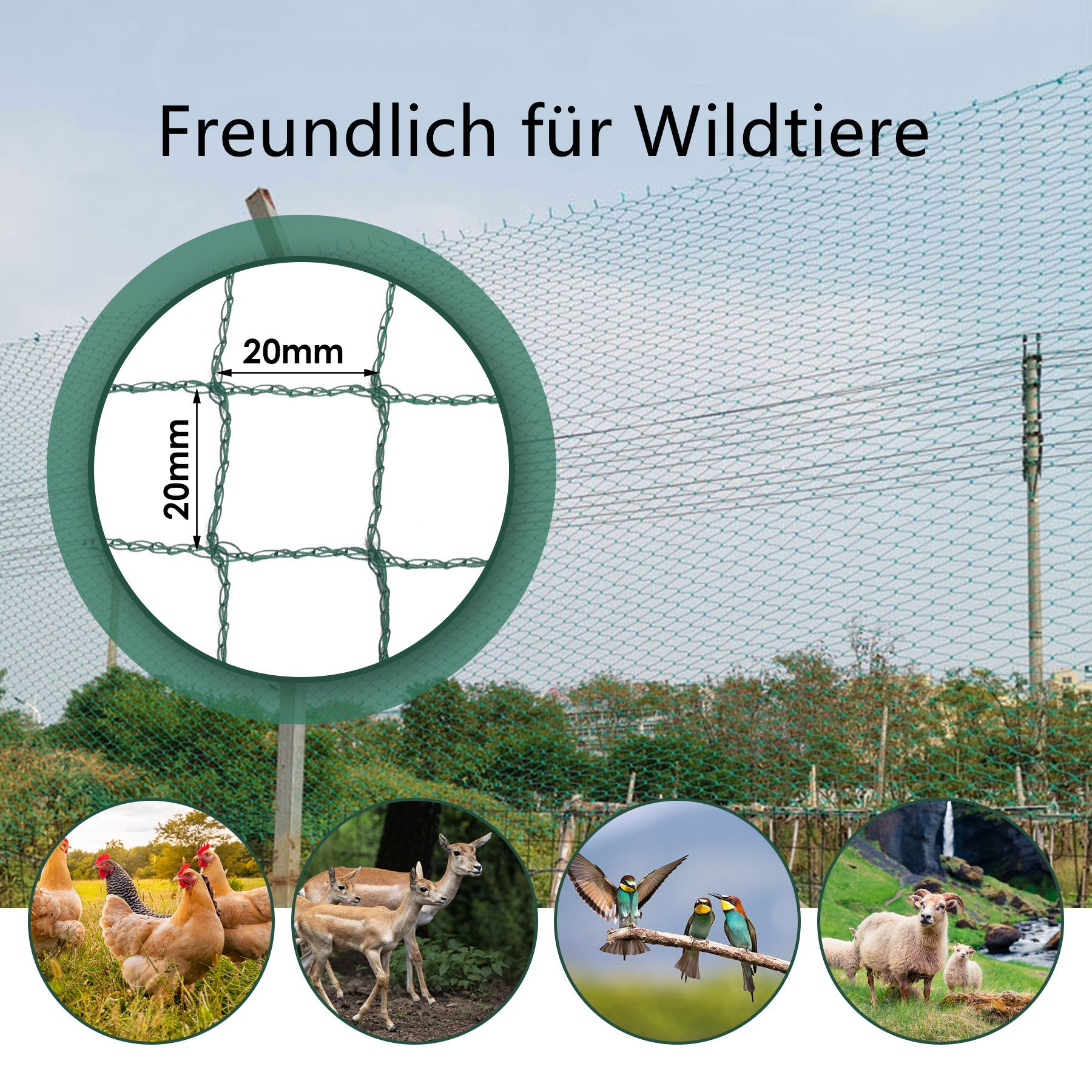 Cosmo Go Teichnetz Vogel Reihernetz