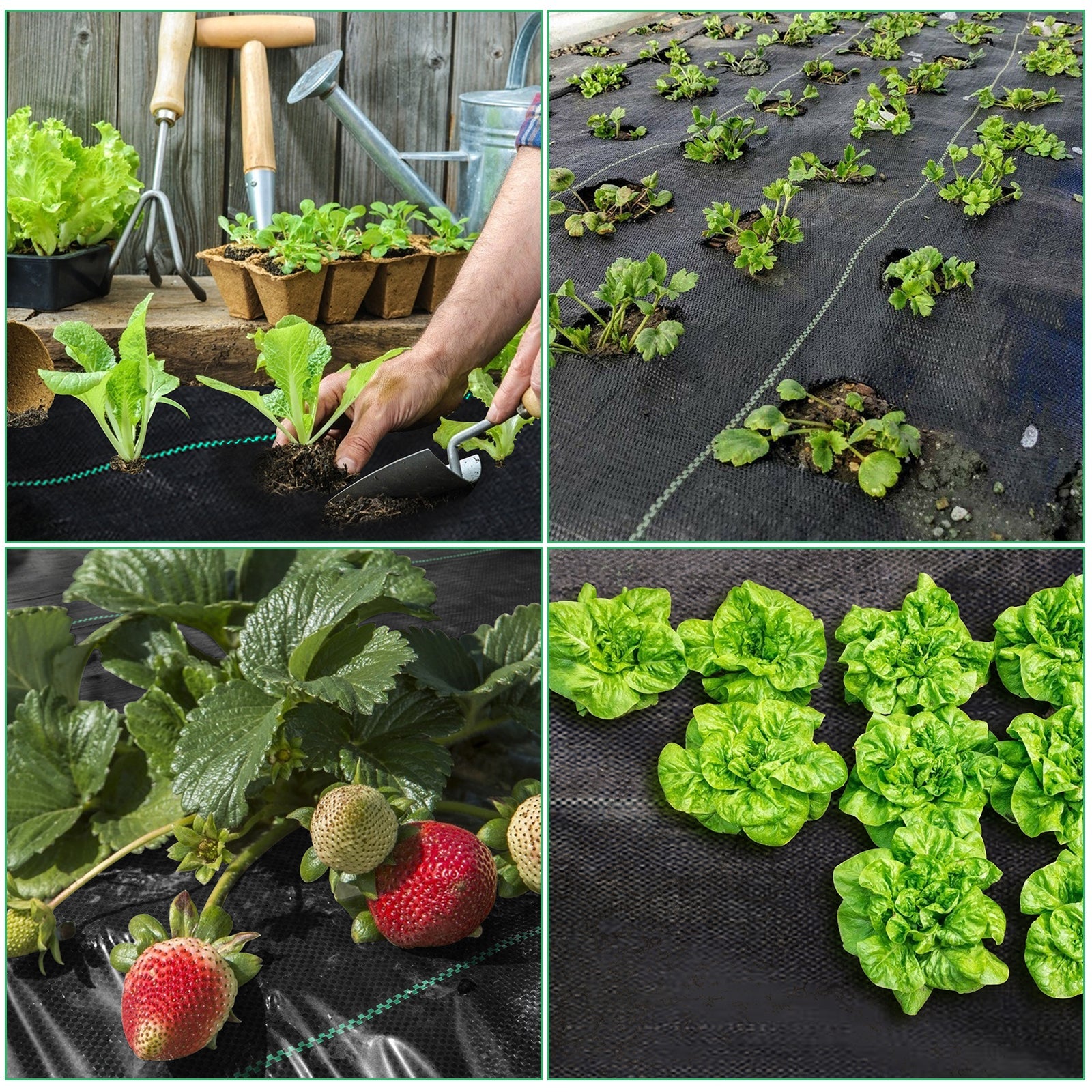 Cosmo Go Unkrautvlies Unkrautgewebe Bodengewebe Reißfestes