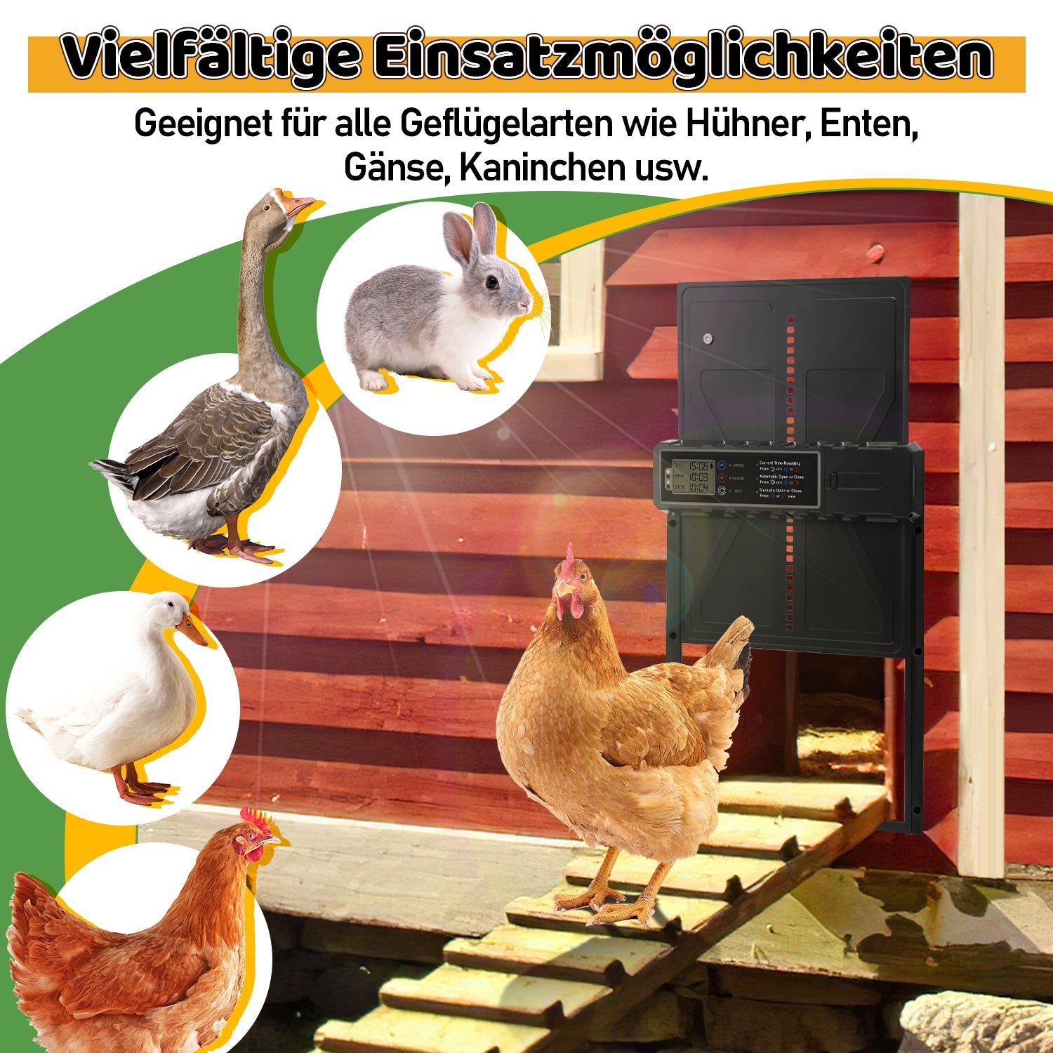 Cosmo Go Hühnerklappe Automatische Solar mit LED Display und Fernbedienung