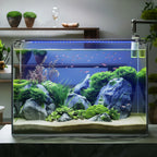 Aquarium Beleuchtung