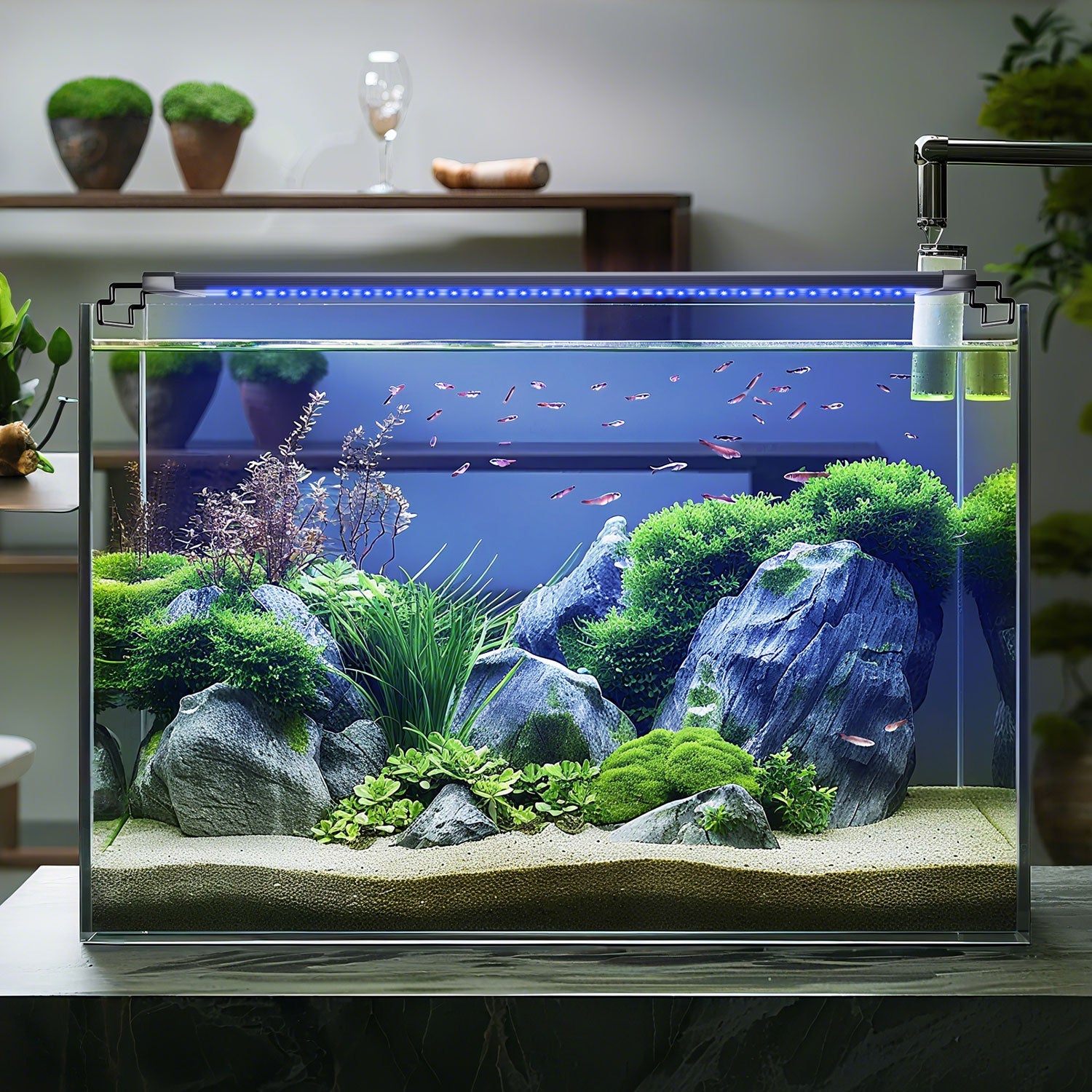 Aquarium Beleuchtung