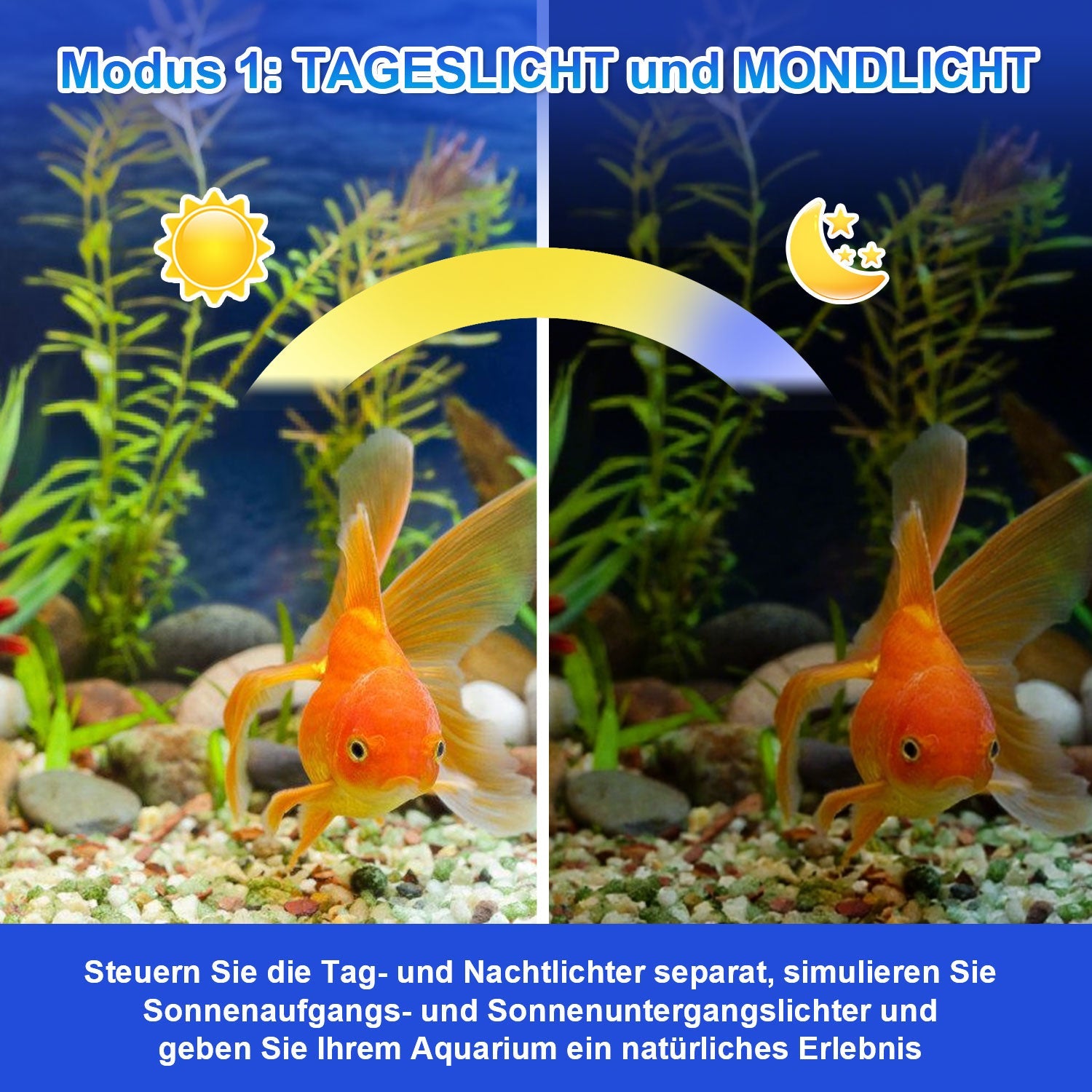 Aquarium Beleuchtung