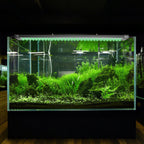 Aquarium Beleuchtung