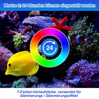 Aquarium Beleuchtung