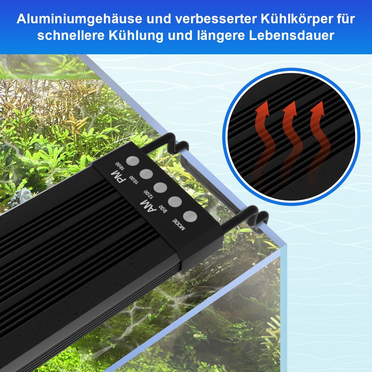 Aquarium Beleuchtung