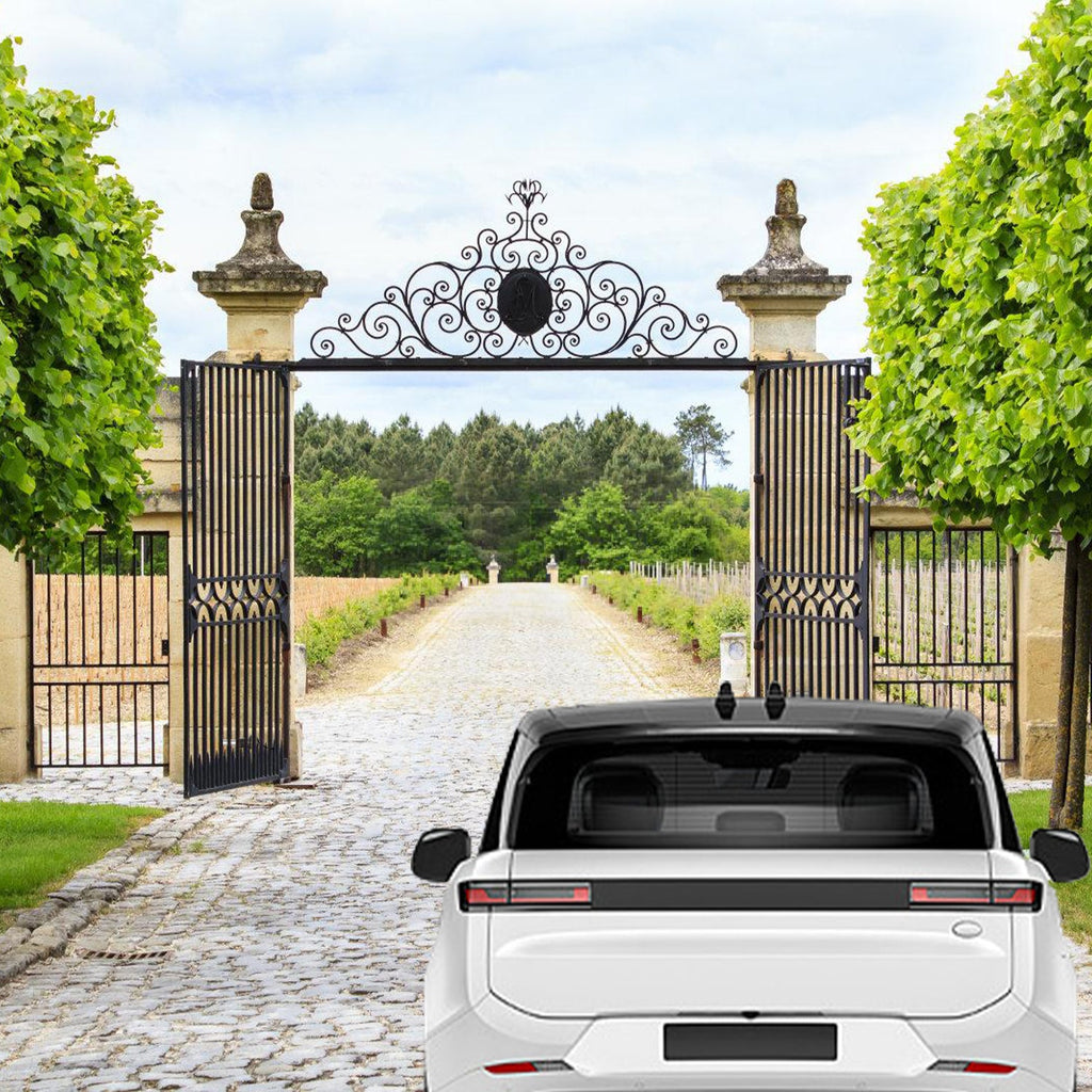 Cosmo Go Automatischer Flügeltorantrieb Doppelflügeltorantrieb 600kg