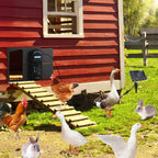 Cosmo Go Automatische Hühnerklappe Solar mit Lichtsensor Fernbedienung