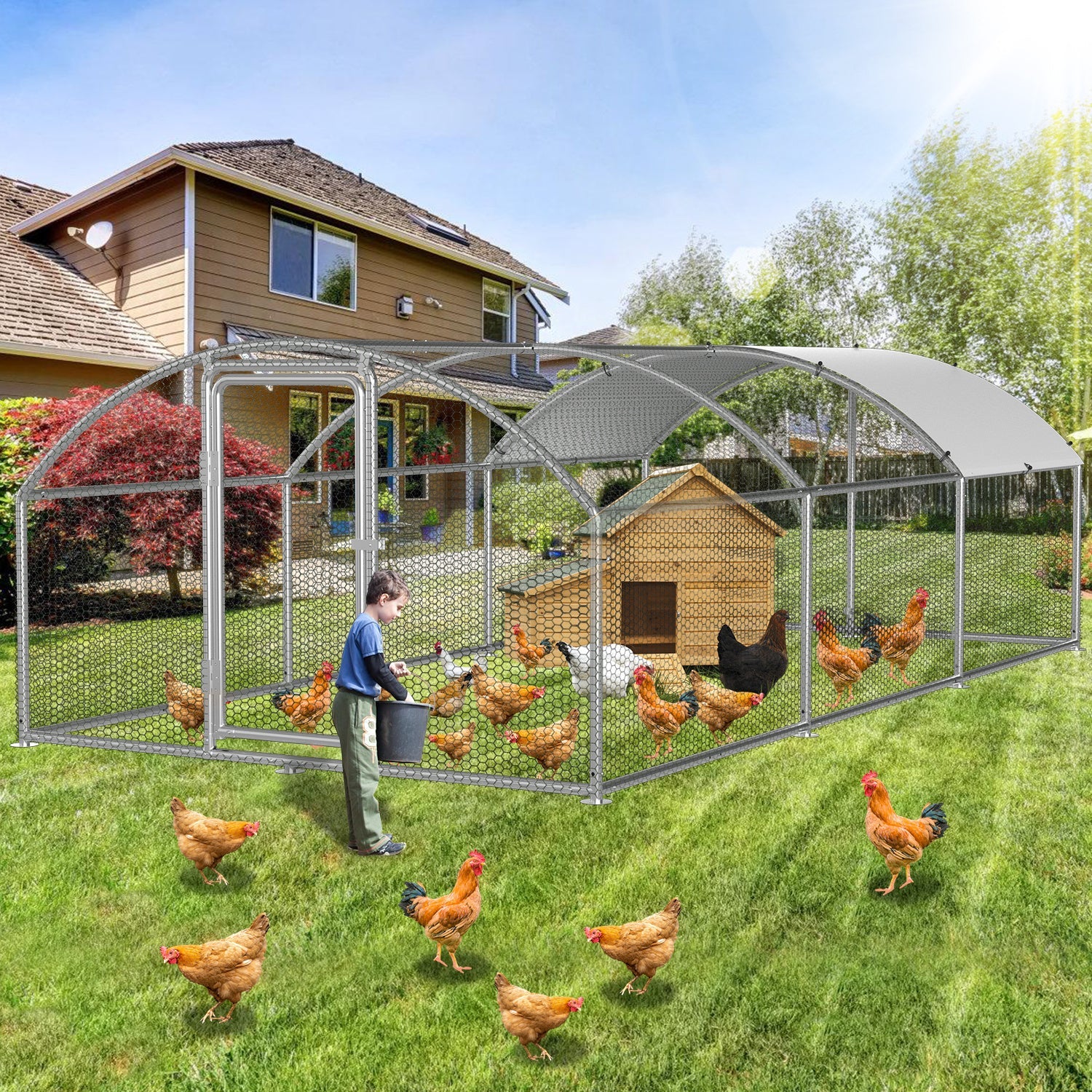 Cosmo Go Hühnerstall Freilaufgehege Kuppeldach Verzinktem Stahl 3x6x2m