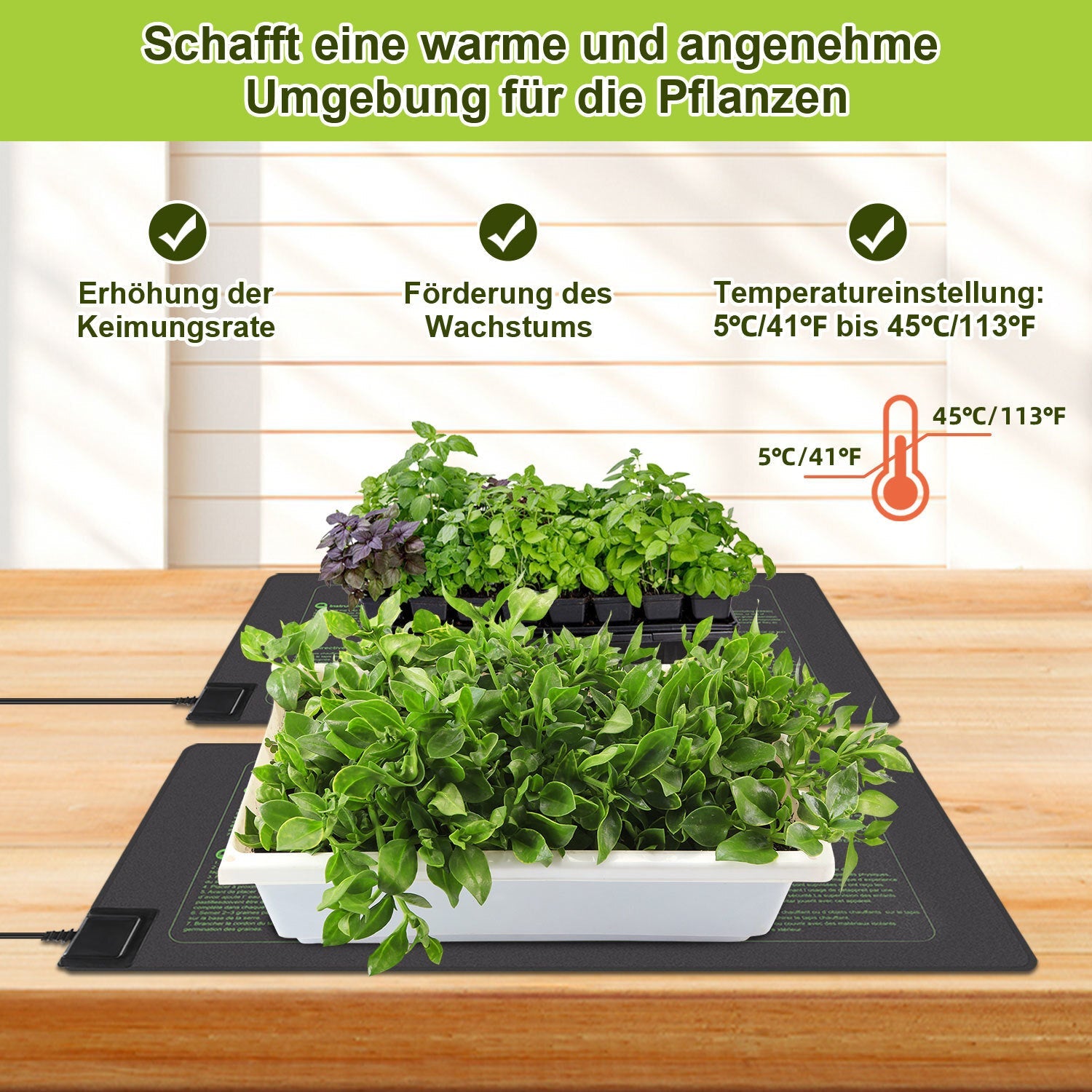 Cosmo Go Heizmatte Pflanzen 27W/55W mit Thermostat