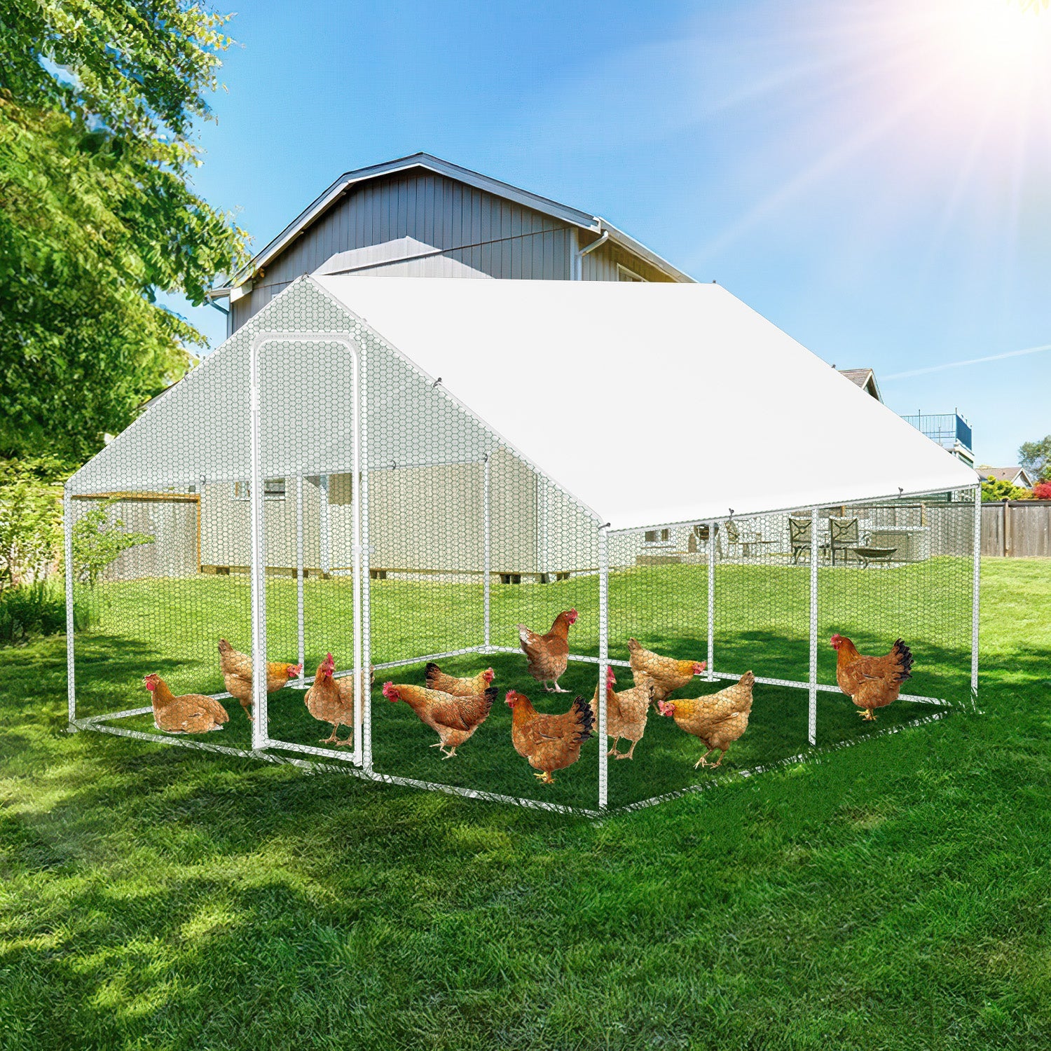 Cosmo Go Hühnerstall Freilaufgehege Verzinkter Stahl mit Dachplane 3*3*2m