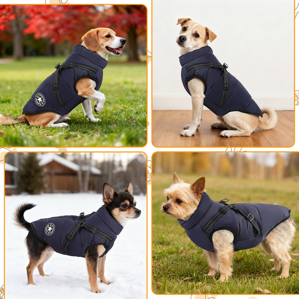 Cosmo Go Hundemantel Hundeweste Hundejacke Wintermantel