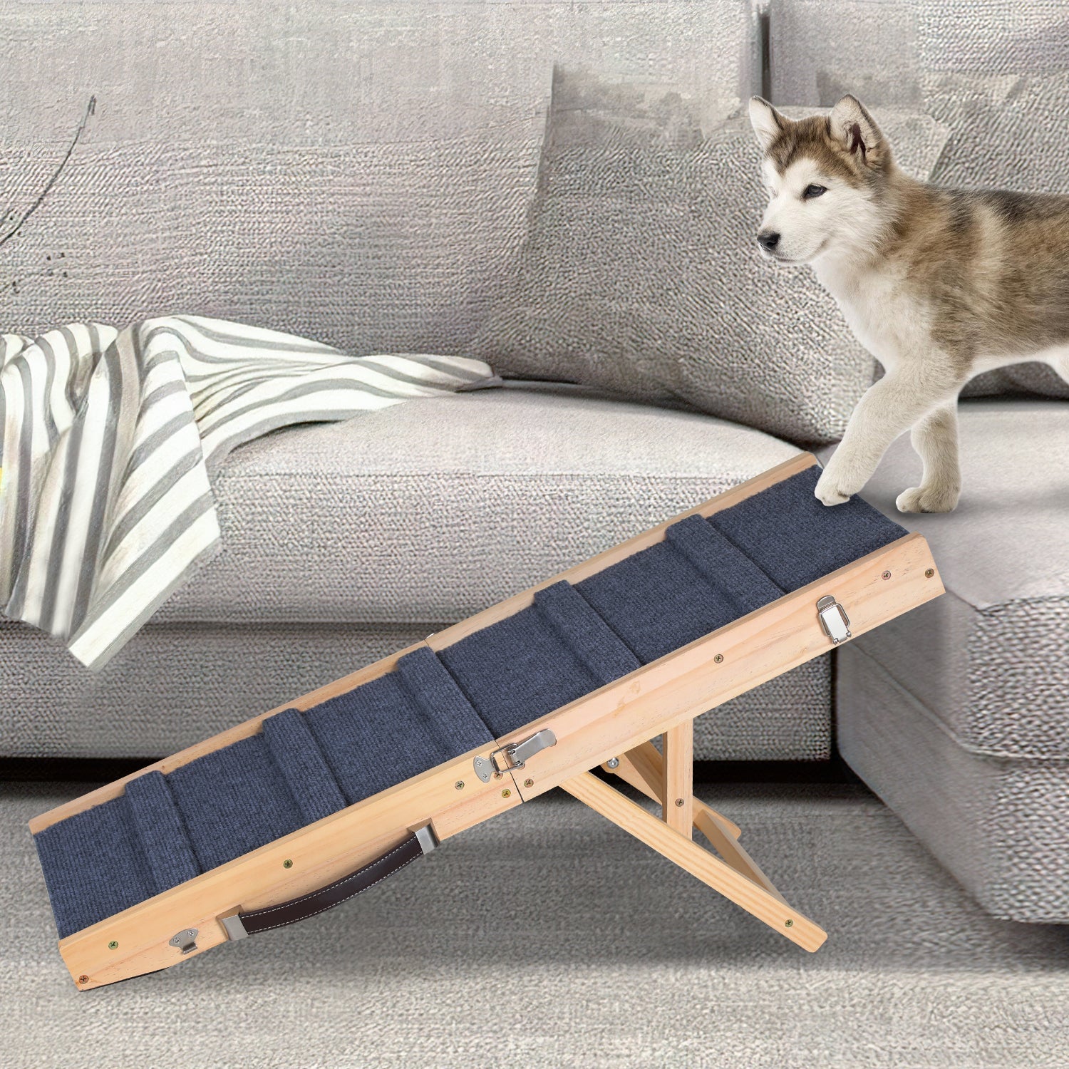 Hundetreppe