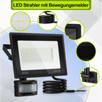 Cosmo Go LED Fluter mit Bewegungsmelder Kaltweiß 10W-100W(kein Stecker)