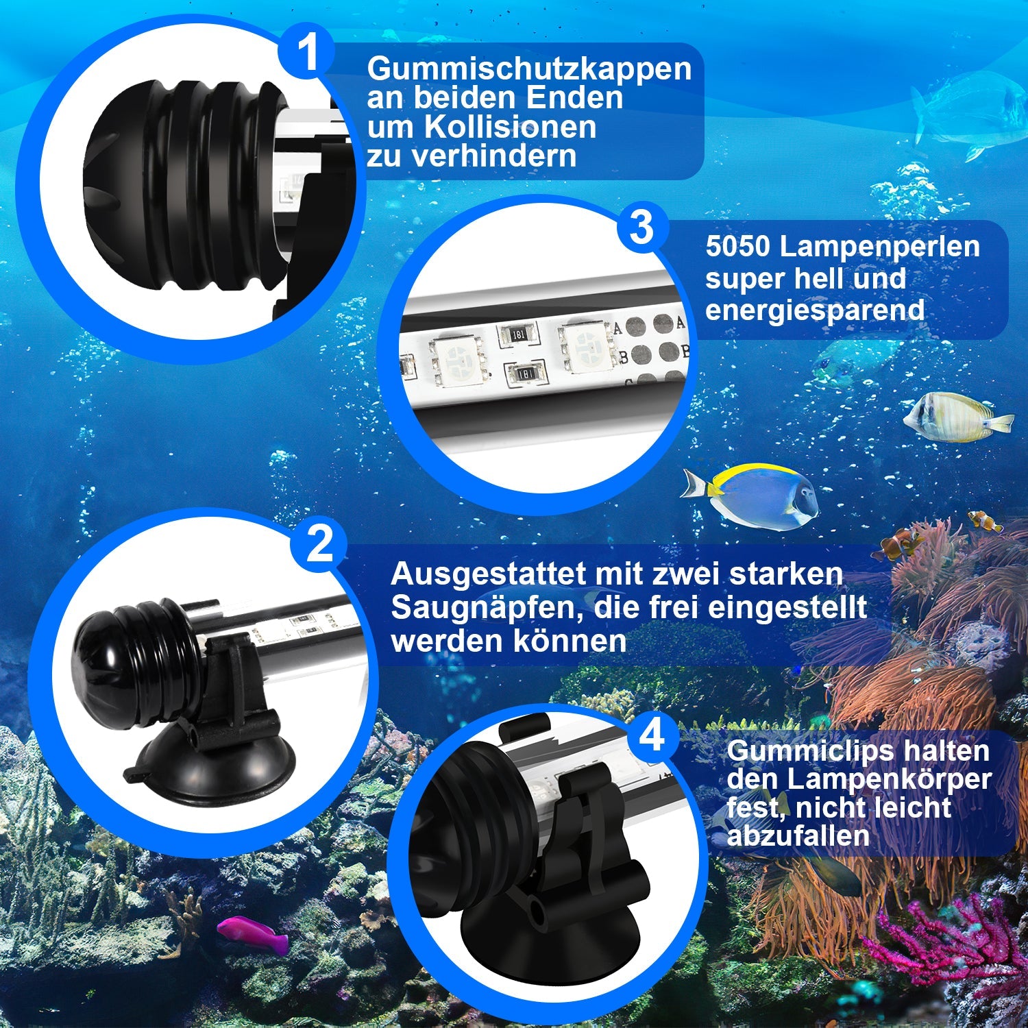 LED Aquarium