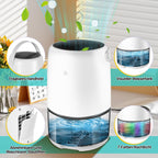 Cosmo Go Luftentfeuchter Mini Tragbarer 1100 ml