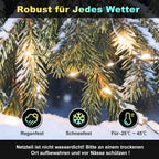 Cosmo Go Lichterkette RGBIC 20m/30m App Steuerung  & Fernbedienung