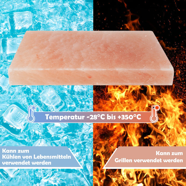 Cosmo Go Salzstein zum Grillen 20x30x3cm Mit Eisenplatte Main Image
