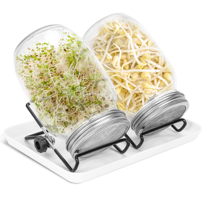 Sprossenglas  Hover Image