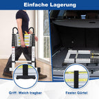 Cosmo Go Teleskopleiter mit 2 Abnehmbarem Haken mit Stabilisator