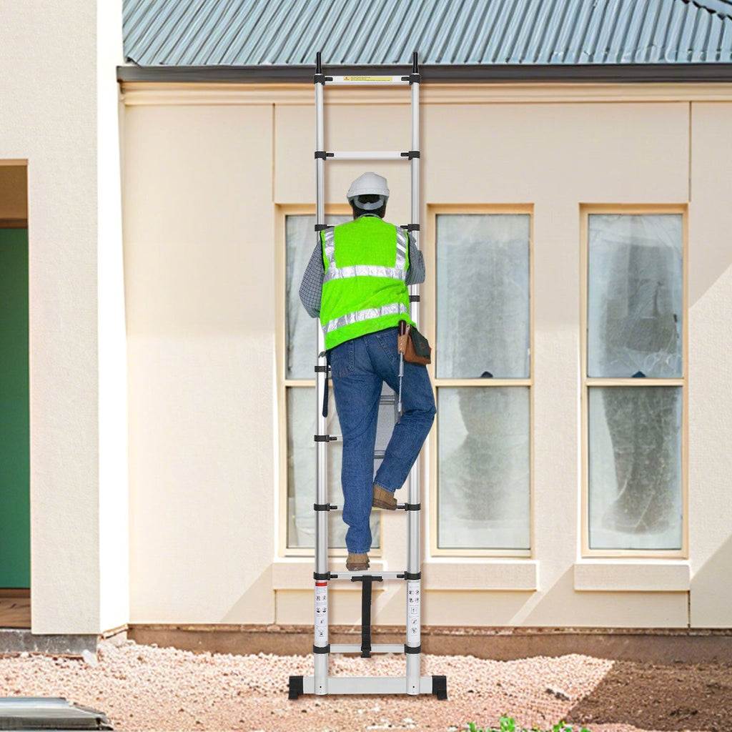 Cosmo Go Teleskopleiter mit 2 Abnehmbarem Haken mit Stabilisator