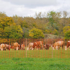 Cosmo Go Zaun Bauzaun Warnnetz Kunststoff 30m/50m/80m