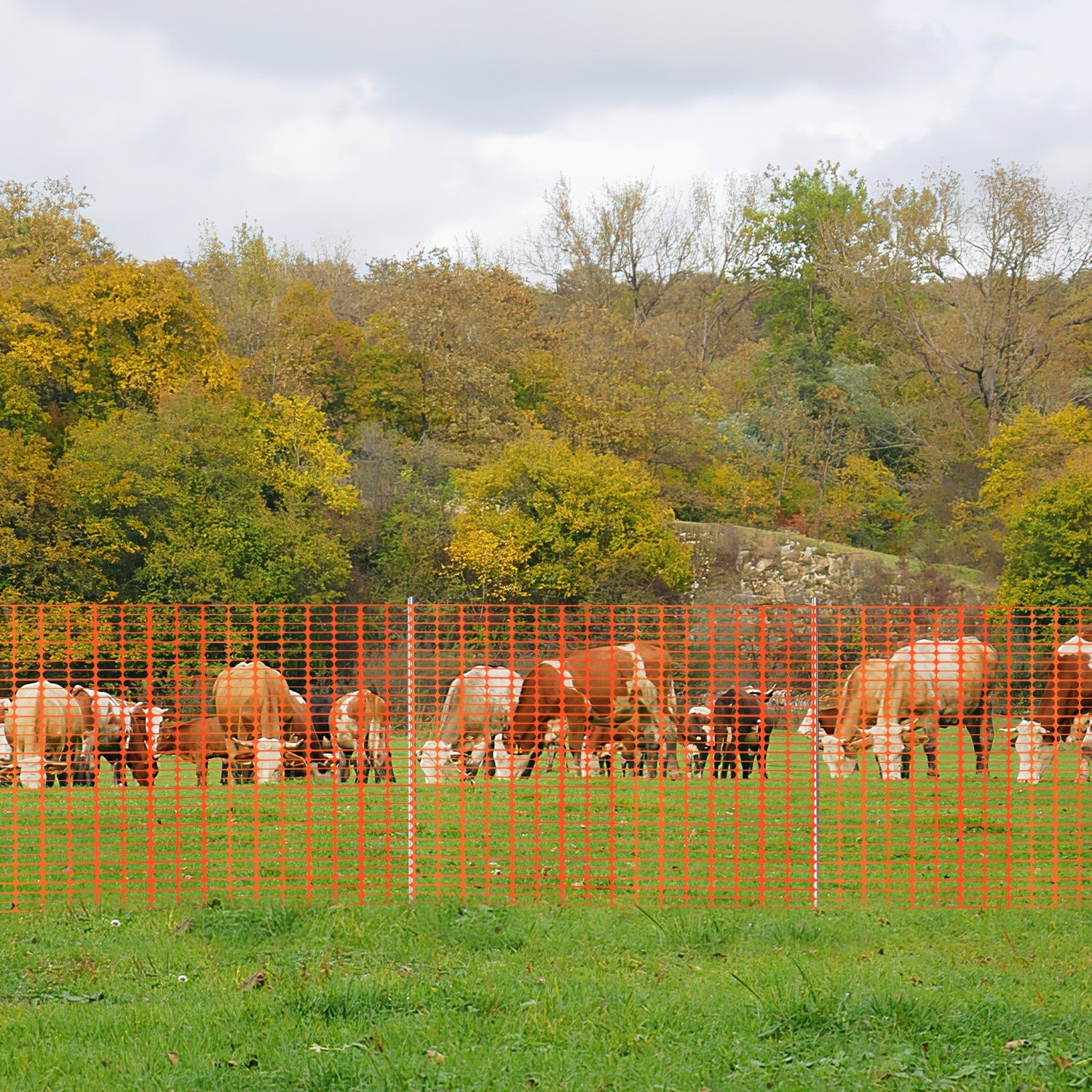 Cosmo Go Zaun Bauzaun Warnnetz Kunststoff 30m/50m/80m