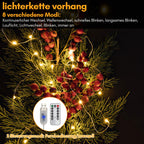 Cosmo Go LED Lichtervorhang 3x3m/3x6m Warmweiß/Farbe