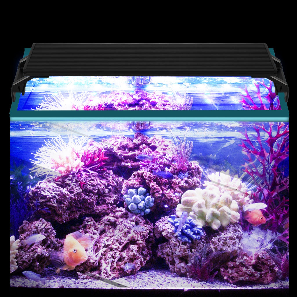 Cosmo Go LED Aquarium Beleuchtung Weiß Blau Licht