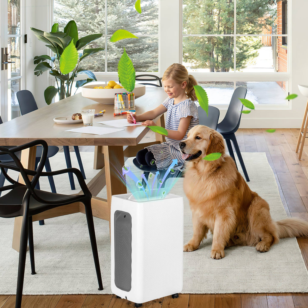 Cosmo Go Luftentfeuchter 26L mit Timerfunktion, Wäschetrockungsfunktion, Abtaufunktion