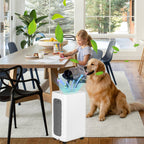 Cosmo Go Luftentfeuchter 26L mit Timerfunktion, Wäschetrockungsfunktion, Abtaufunktion