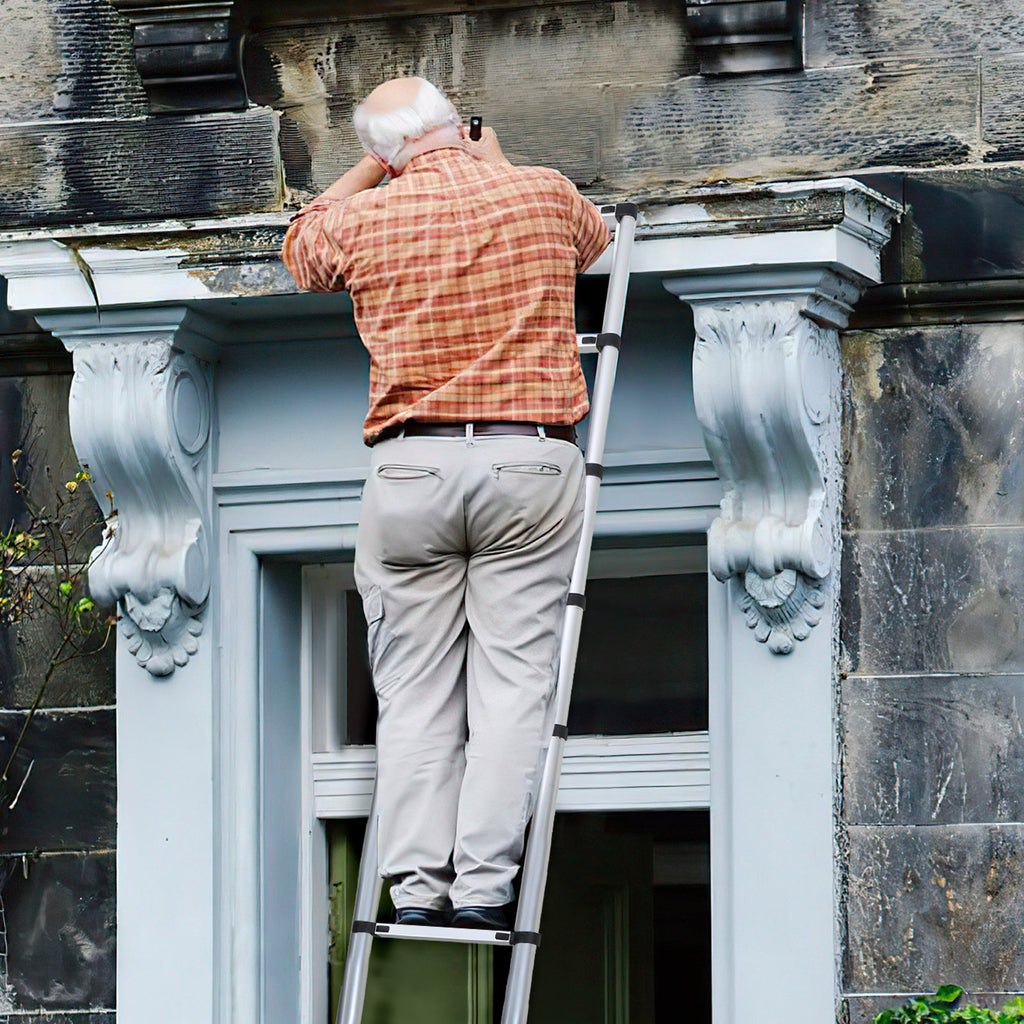 Cosmo Go Teleskopleiter mit 2 Abnehmbarem Haken