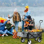 Cosmo Go Bollerwagen Transportwagen mit Dach Faltbar 80kg Belastbarkeit