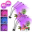 Cosmo Go LED Pflanzenlampe Vollspektrum 30W/40W