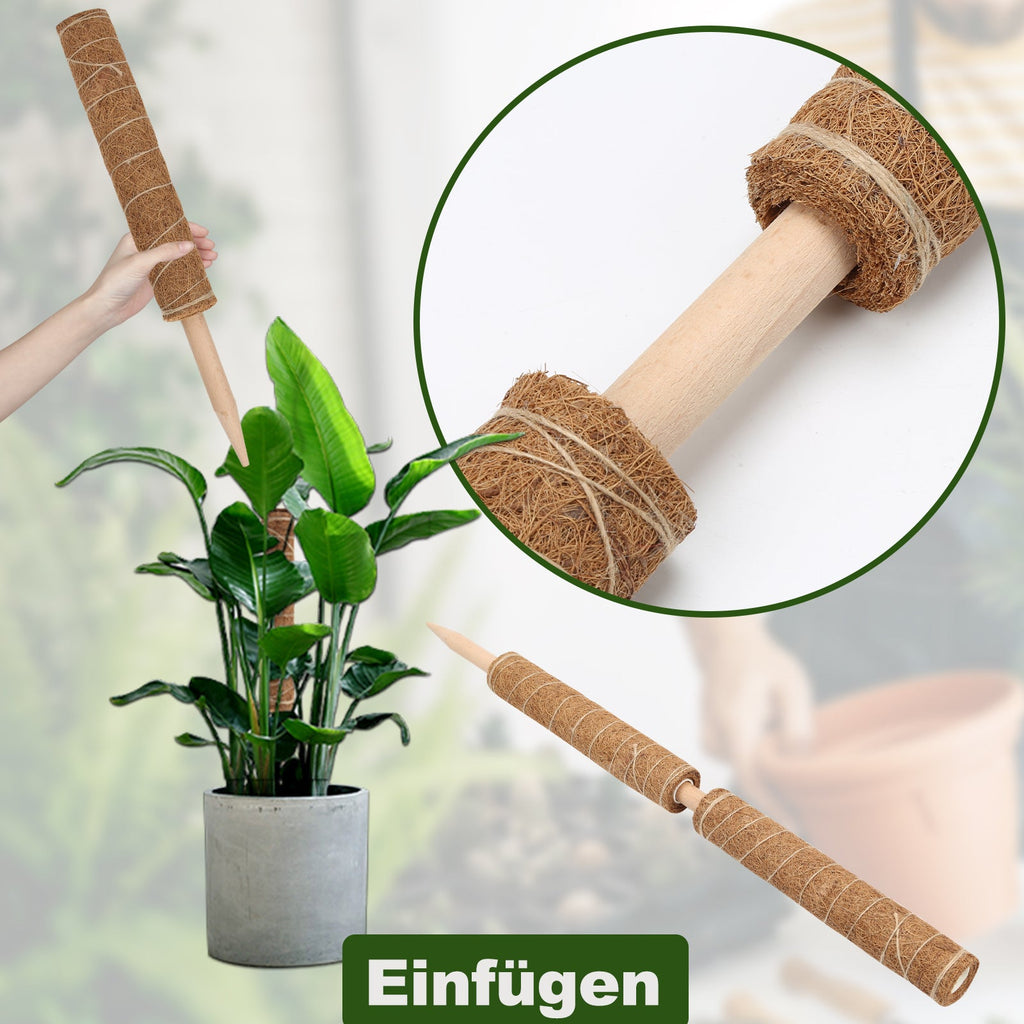 Cosmo Go Pflanzstab Kokos Monstera 2 Stück