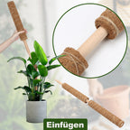 Cosmo Go Pflanzstab Kokos Monstera 2 Stück