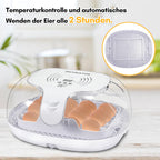 Cosmo Go Brutautomat Vollautomatisch Inkubator für Hühner 16 Eier