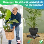 Cosmo Go WPC Pflanzenroller Eckig mit Rollen Tragkraft 80 kg