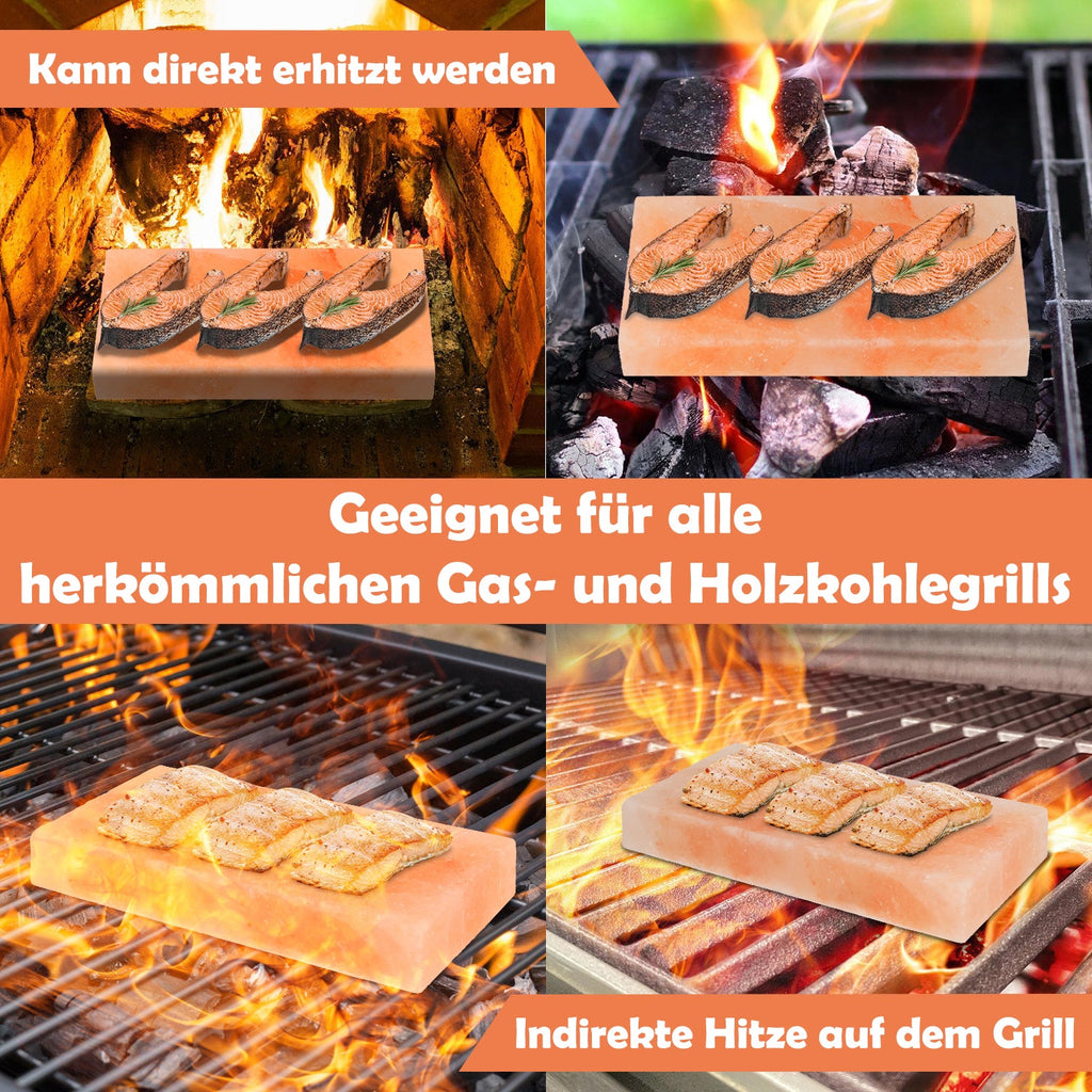 Cosmo Go Grill Salzstein BBQ 20x10x2.5CM 2er Set