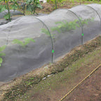 Cosmo Go Garteninsektennetz Pflanzenschutznetz 3x9m/3x10m