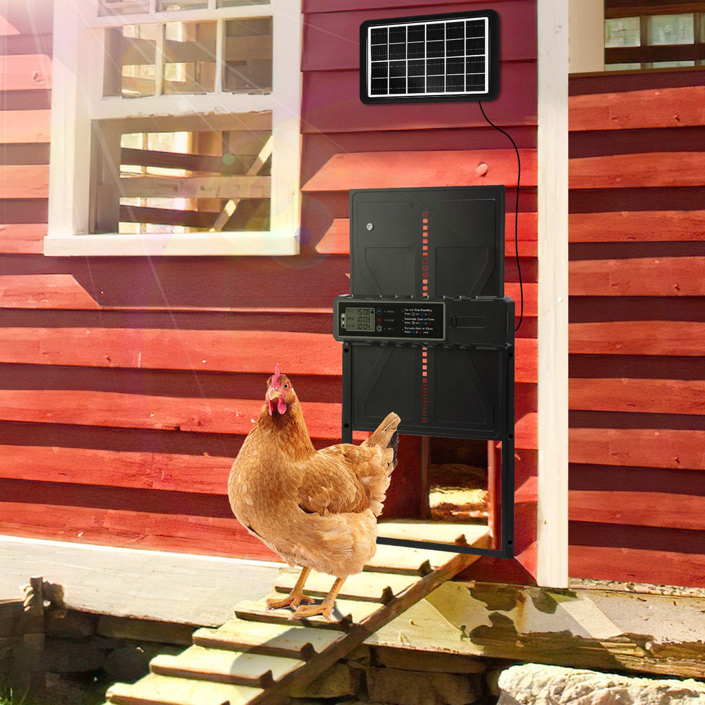 Cosmo Go Hühnerklappe Automatische Solar mit LED Display und Fernbedienung