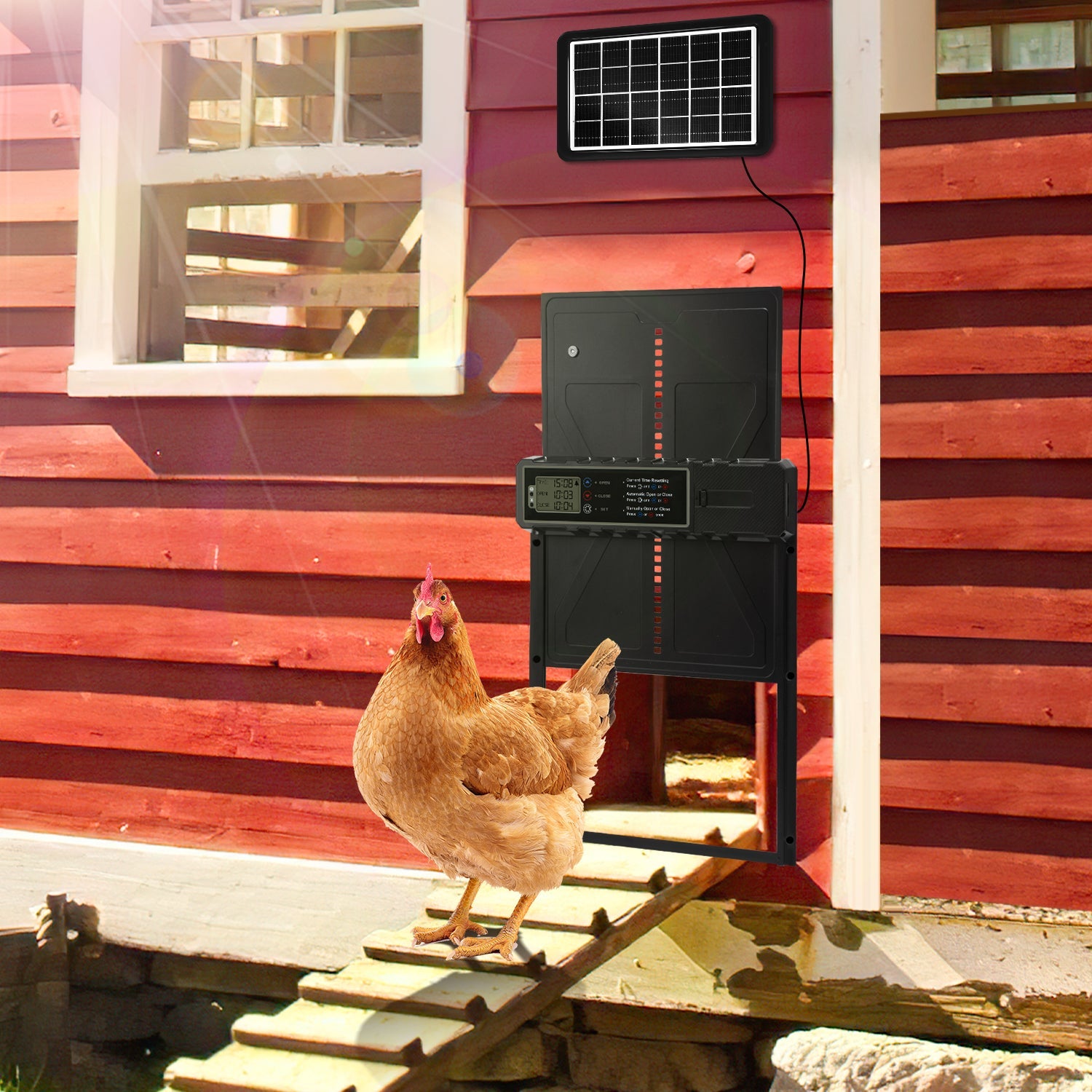Cosmo Go Hühnerklappe Automatische Solar mit LED Display und Fernbedienung