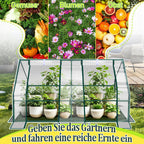 Cosmo Go Gewächshaus Tomatengewächshaus Treibhaus