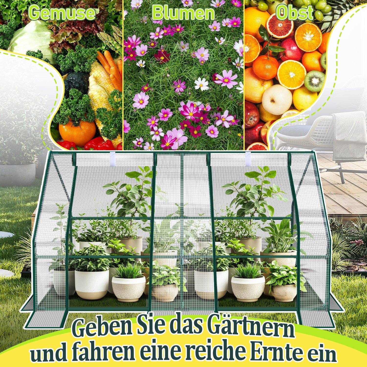 Cosmo Go Gewächshaus Tomatengewächshaus Treibhaus