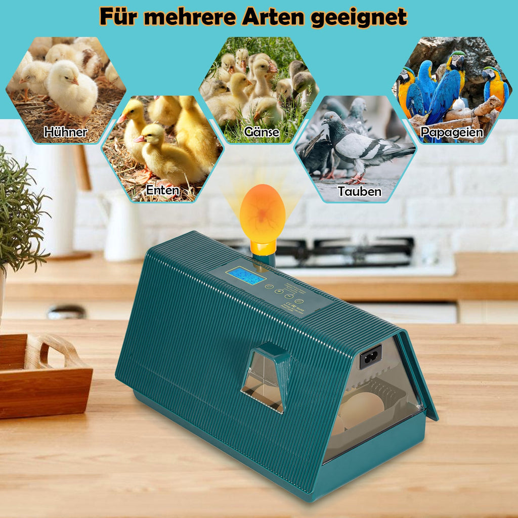 Cosmo Go Brutmaschine Inkubator automatik fur 10 Hühnereier