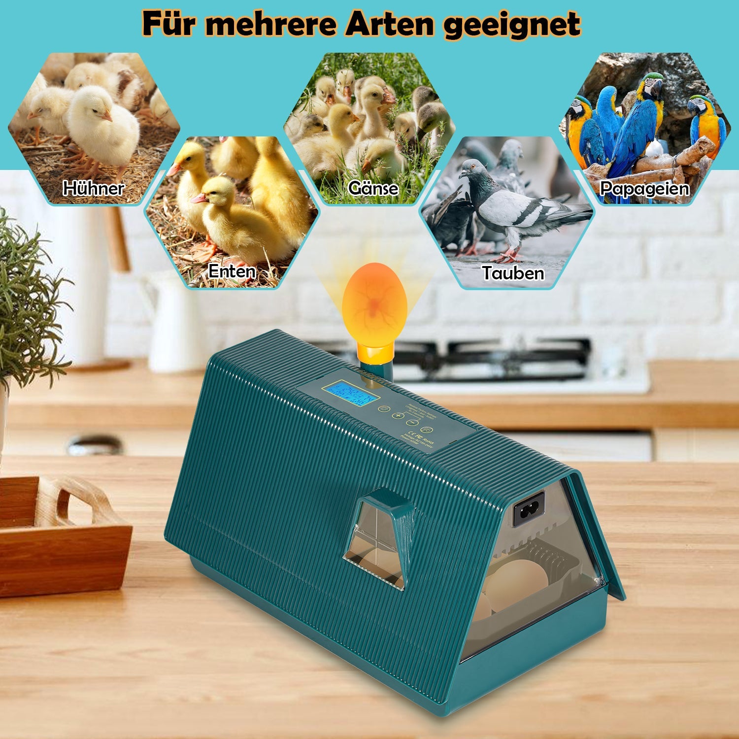 Cosmo Go Brutmaschine Inkubator automatik fur 10 Hühnereier