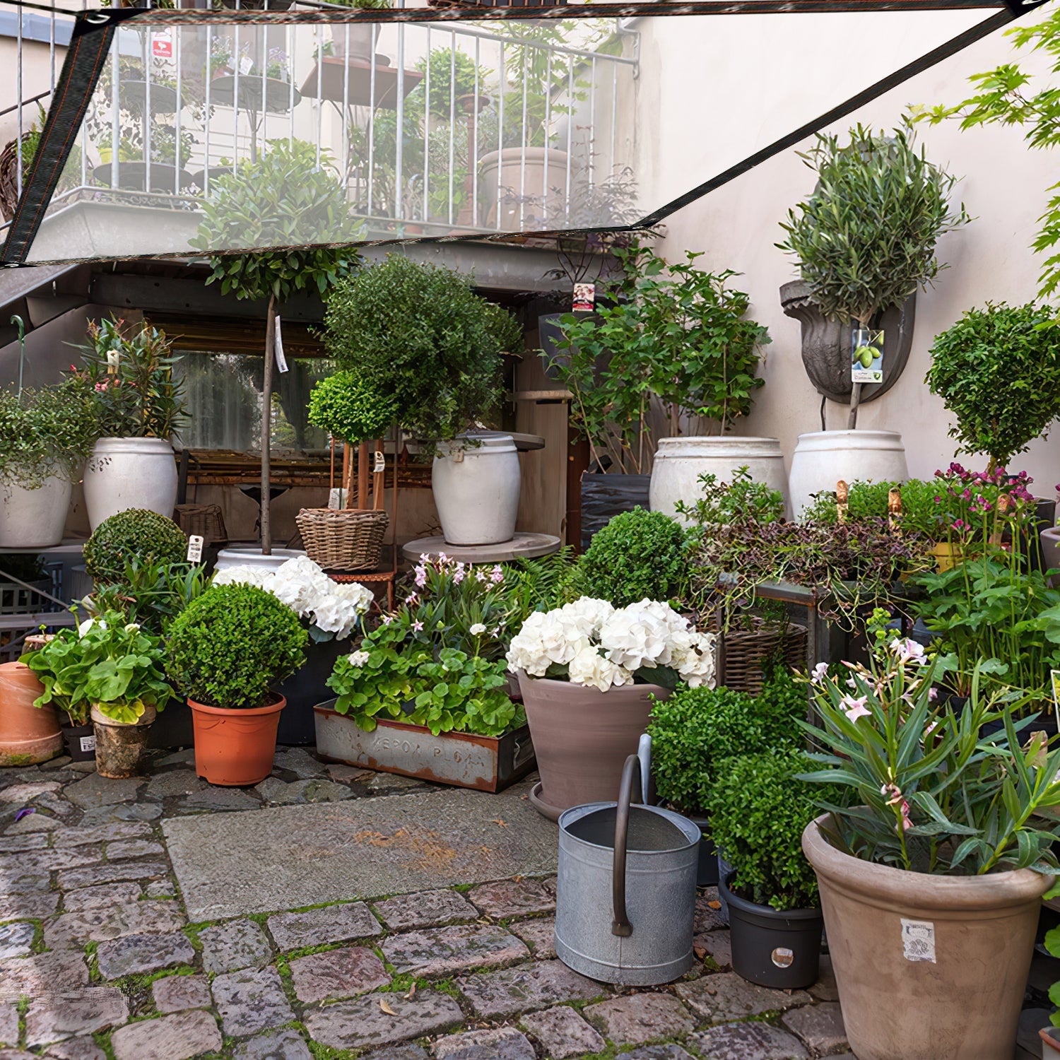 Cosmo Go Transparente Plane Wasserdichte mit ösen