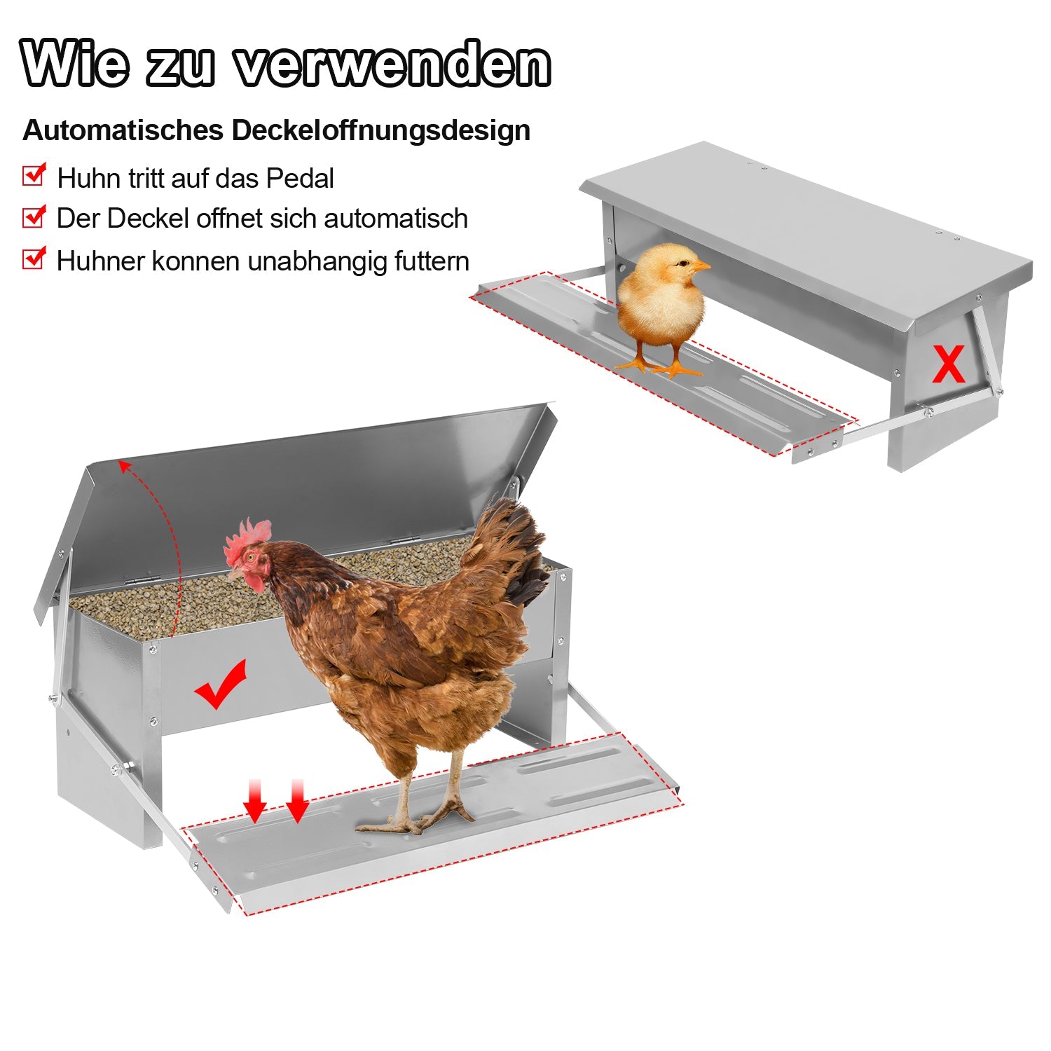 Cosmo Go Futterautomat Hühner Futterspender 5kg